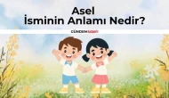Asel İsminin Anlamı Nedir? Asel Ne Demek? Kökeni Nedir?